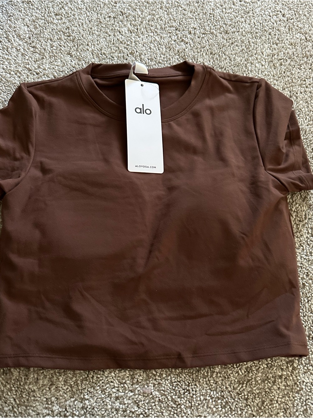 ALO Yoga Women's Brown Cropped Crewneck Tee